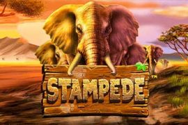 Stampede